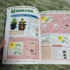 未使用　小学5,6年生　自由研究の本の画像