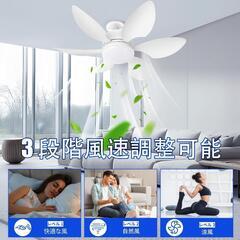 【受渡決定済】シーリングファンライト❣️LEDファンライト 扇風機 40W E26 6-8畳の画像