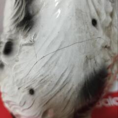 可愛いワンコの置物の画像