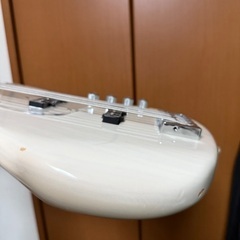 Bacchus ベース　5弦　Hand Crafted Equipment の画像