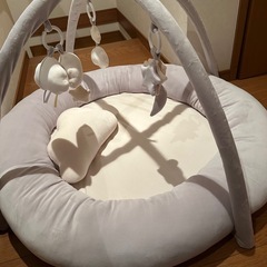 プレイジムマットの画像