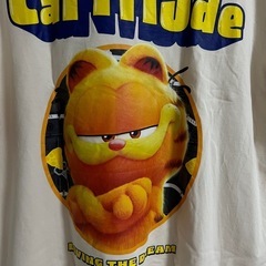 Garfield the movie
の画像