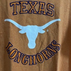 TEXAS LONG HORNSの画像