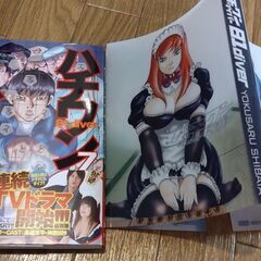 ハチワンダイバー 30冊セットの画像