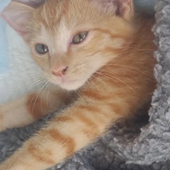 マリオ🐾