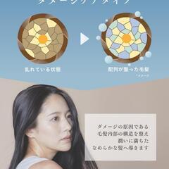 Q+ クオリタス ダメージケア シャンプー トリートメント 美容室専用 アミノ酸の画像