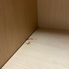 カラーボックスの画像
