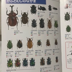 【夏休みの自由研究にも！】図鑑 ナチュラ こんちゅうの画像