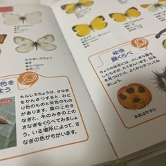 【夏休みの自由研究にも！】図鑑 ナチュラ こんちゅうの画像