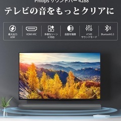 早い者勝ち 新品未使用 Philips サウンドバー スピーカー TAB4288の画像