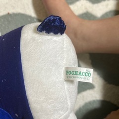 サンリオ ポチャッコ ぬいぐるみ タグ付き 2020年製の画像