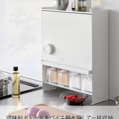 早い者勝ち 新品未使用 山崎実業(Yamazaki)前が開く隠せる 調味料ラックの画像