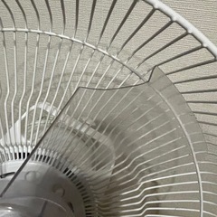 定型文スルー　希望価格でお譲りする扇風機の画像