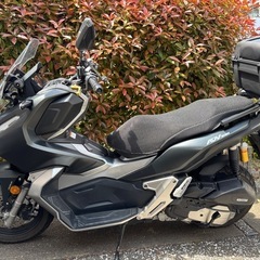 adv150 HONDA ホンダの画像