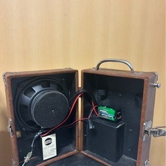 ピグノーズ　アンプの画像