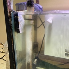 海水魚水槽と生体などフルセット最終値段です。の画像