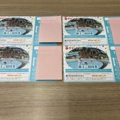 サマーランドフリーパス券➕おまけ付