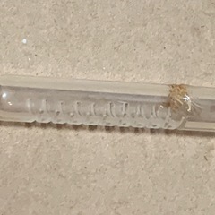 水槽用 リリィパイプ ガラスパイプの画像