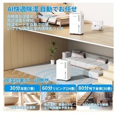 人気除湿機 コンプレッサー式 強力除湿12/L日 30畳 静音の画像