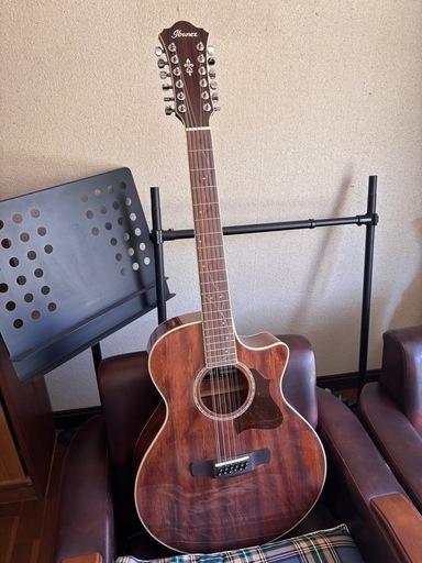 アイバニーズ　12弦ギター　ピックアップ付き