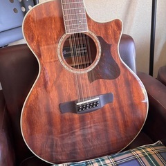 アイバニーズ　12弦ギター　ピックアップ付きの画像