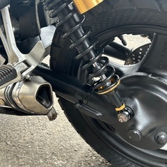 スズキ　vx800   レア車の画像