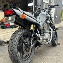 スズキ　vx800   レア車の画像