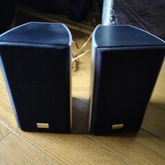 今日引き取り可能な方！！の画像