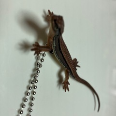 フィギュア（キーホルダー）の画像