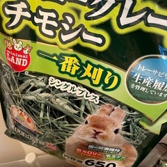 チモシー　穂先　一番刈り　牧草　の画像