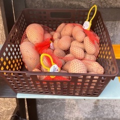 無人販売所オープンですの画像