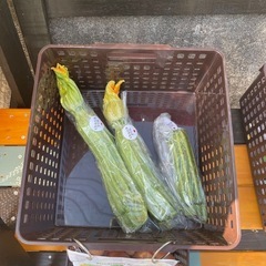 無人販売所オープンですの画像