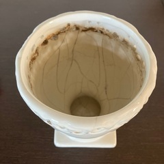 ⭕️白い陶器の植木鉢の画像