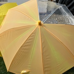 キッズ傘の画像