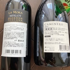 清酒、果実酒など10点の画像
