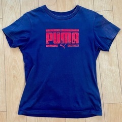 【7月末まで】PUMA Tシャツ160㎝2枚セットの画像