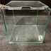 ランキングキーワードに紐づく投稿画像-メダカ