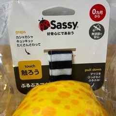 【新品未使用】　sassy ぶるぶるマウス　サッシー　知育玩具　ダッドウェイ　おもちゃの画像