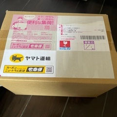 非売品　新品未使用　コナン　マグカップ　セットの画像
