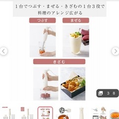 スティックブレンダー【TESCOM】pure natura の画像