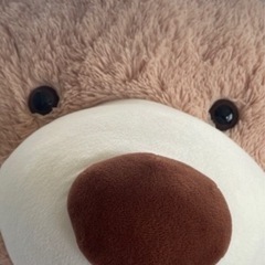 くまの画像