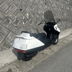 ホンダフュージョンSE-250の画像