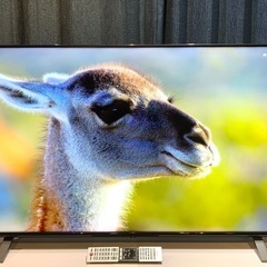 2021年製 50V型 4K TOSHIBA REGZA 地デジ BS CS 4Kチューナー YouTube Netflix◎ 50C350Xの画像