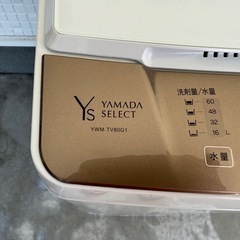 洗濯 YWMTV80G1 2022年式 省エネ インバーター搭載 送風乾燥 6年保証付の画像