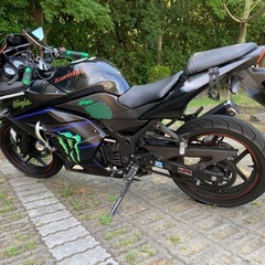  バイク 250  カワサキ ニンジャ　モンスター使用、Kawasaki　ninja 250r バイク  の画像