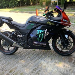  バイク 250  カワサキ ニンジャ　モンスター使用、Kawasaki　ninja 250r バイク  の画像