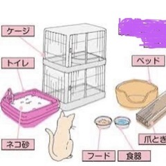 譲って下さい