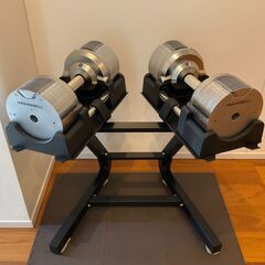 【引越しに伴う一式売却・美品】PROVERBELL 可変式ダンベル & インクラインベンチセット（合計11万円相当）の画像