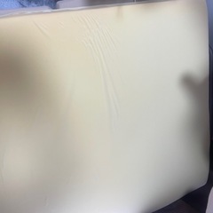 トゥルースリーパー売ります
の画像