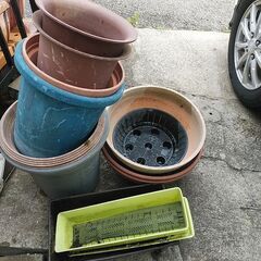 植木鉢　樹脂製の画像